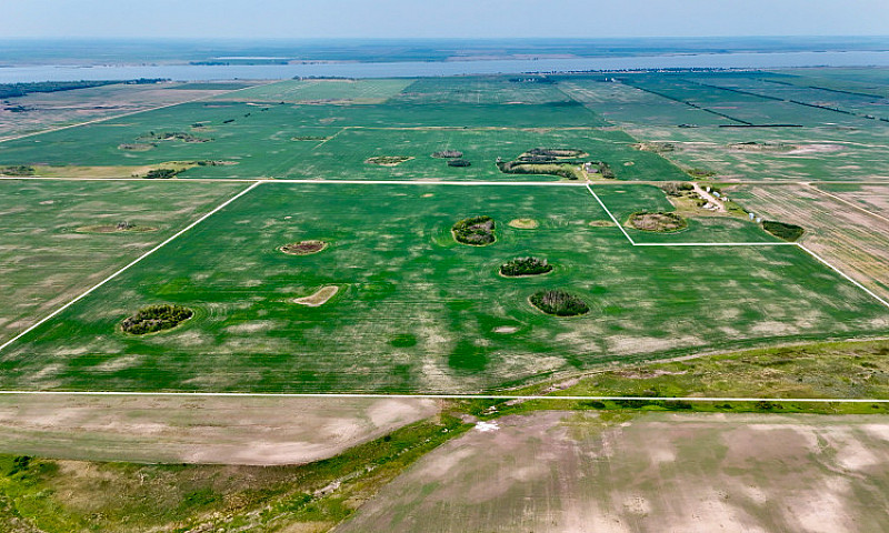 Prime Farm Land In P...