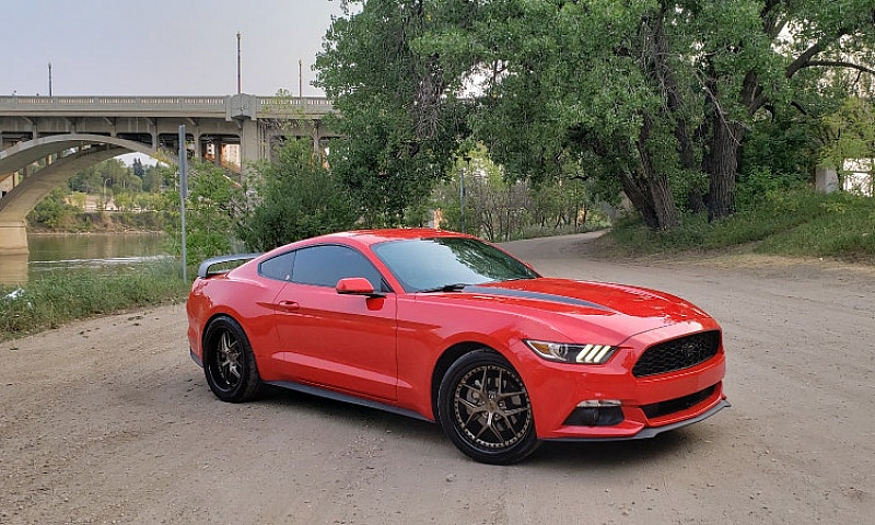 2016 Ecoboost Mustan...