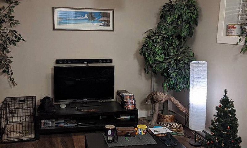 2 Bed Basement Suite...