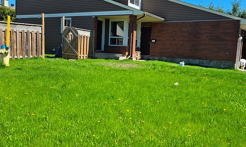 House For Rent...