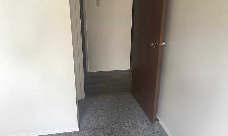 1 Bedroom Apartment ...