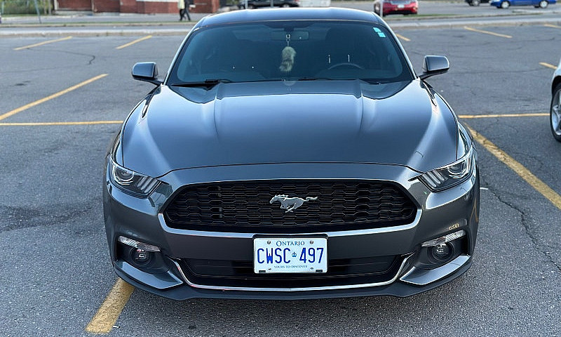 Ford Mustang ...