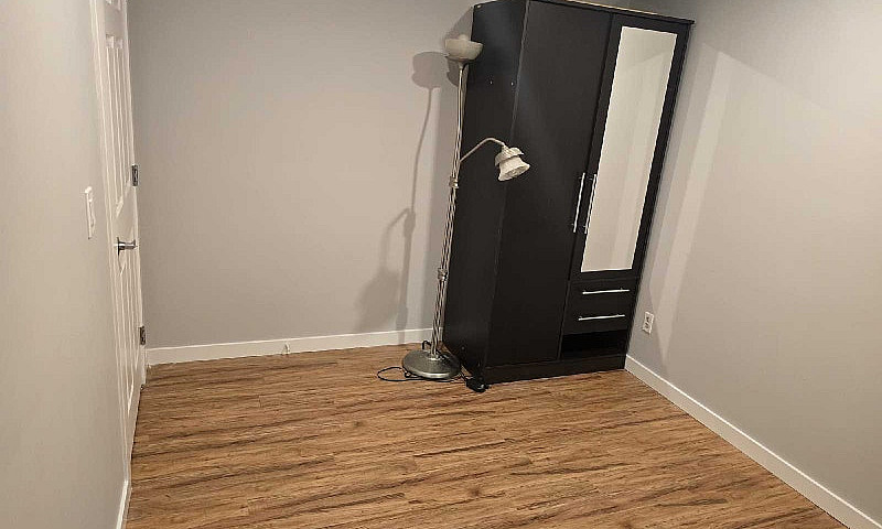 Basement For Rent Av...