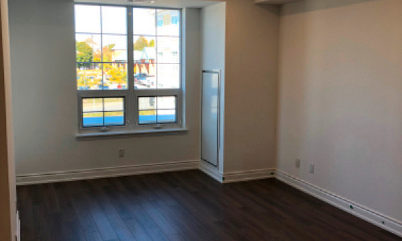 Newcastle 1-Bedroom ...