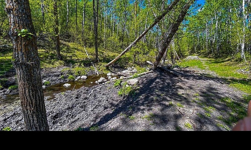 Land Forsale...