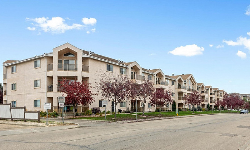 18+ Condo Suite For ...