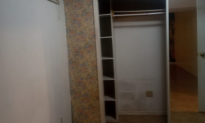 One-Bedroom Basement...