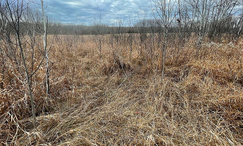 Land For Sale...