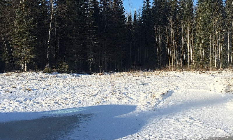 4 Acres Close To Pg ...