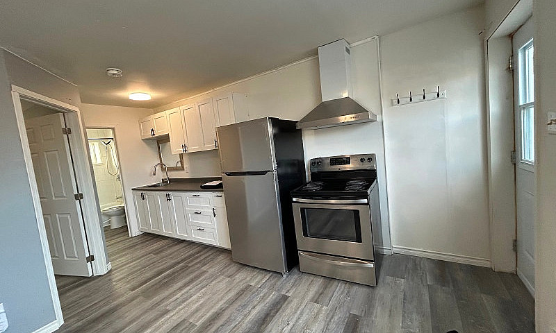 Brand New Reno Groun...