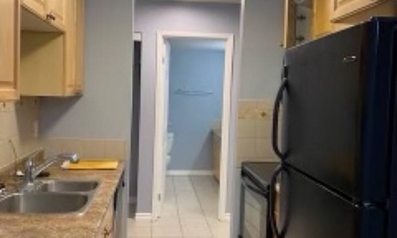 1 Bed 1 Bath Apartme...