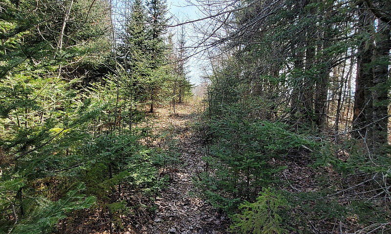 39 Acres With Huntin...