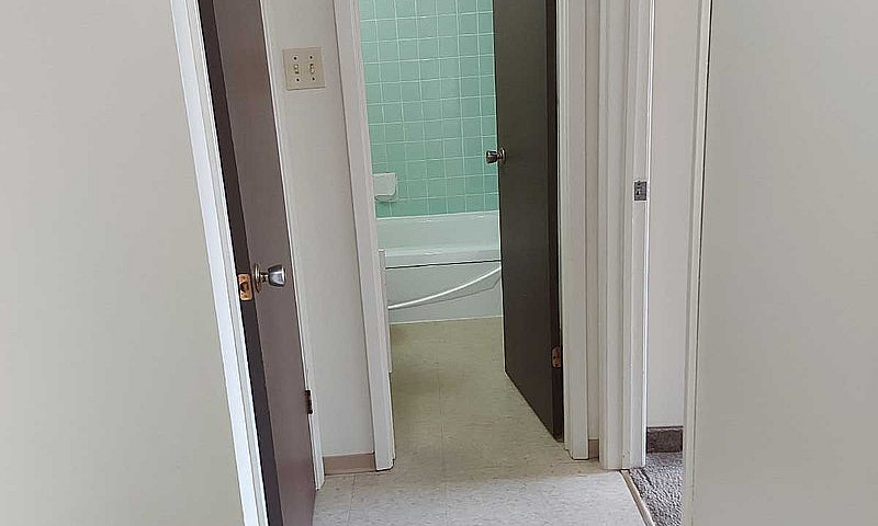 1 Bedroom Apartment ...