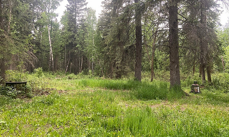 5 Acres For Sale Nea...