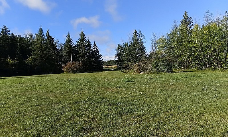159 Acre Hobby Farm ...