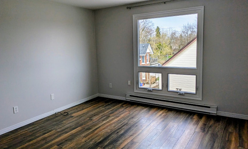 Orillia - Large, Bea...