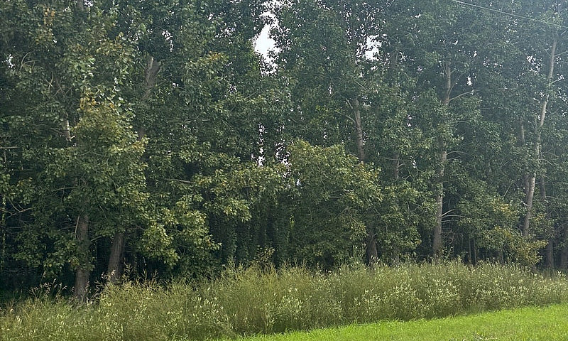 3 Acres Out Of Subdi...