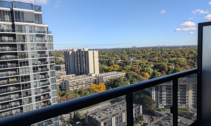 A Luxury Condo - 1 B...