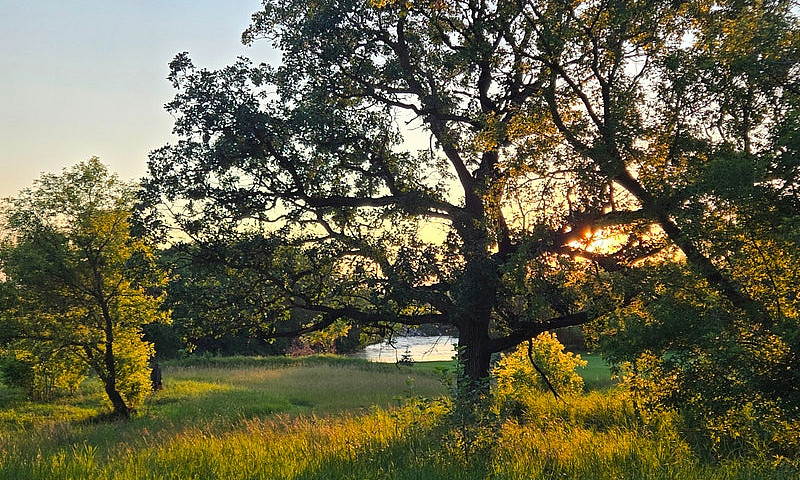 Riverfront Property ...