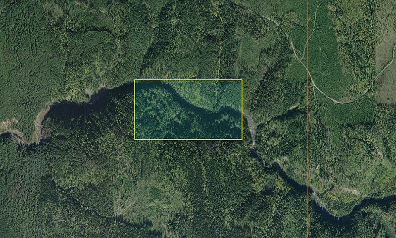 Cottonwood River Gol...