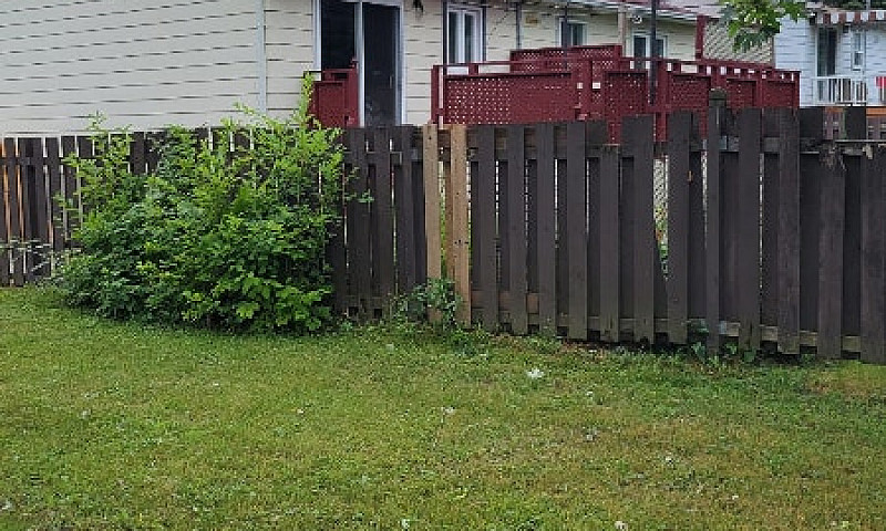 House For Rent...