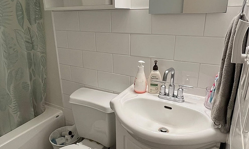 Female Roommate Need...