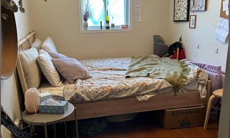 3319 Robie St Availa...