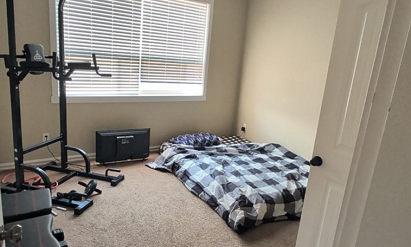 Daylight Basement Su...