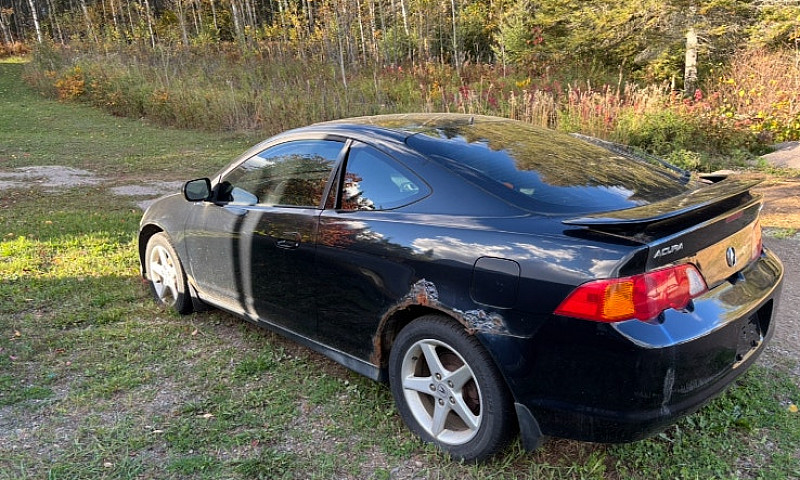 Acura Rsx Project Bu...