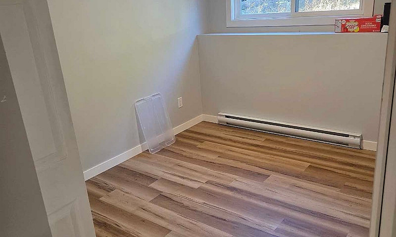 3 Bedroom Basement S...