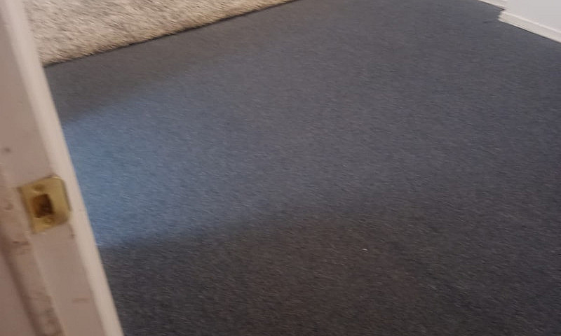 One-Bedroom Basement...