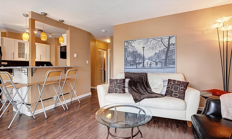 Fully Furnished 1 Be...