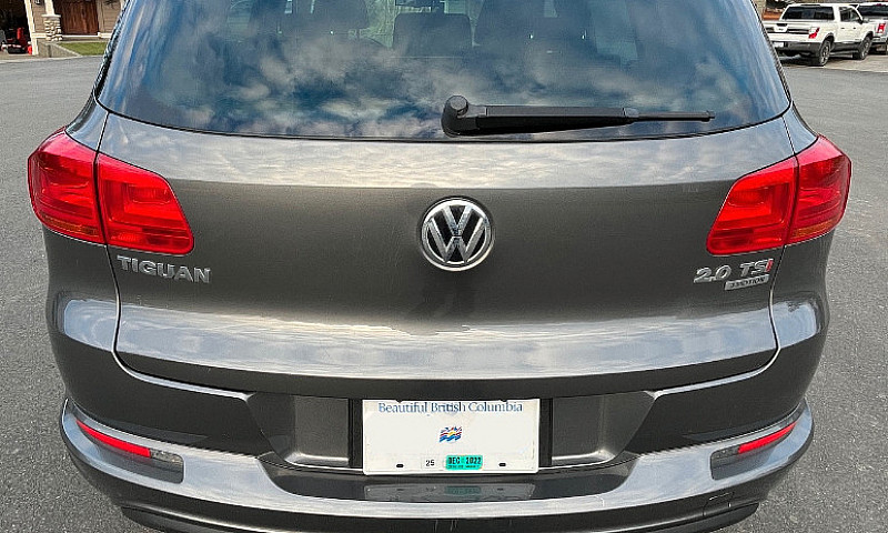 2015 Volkswagen Tigu...