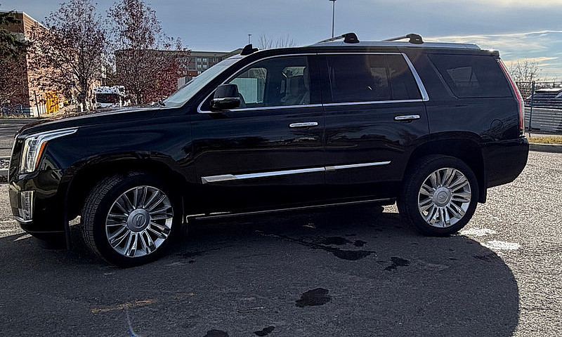 2019 Cadillac Escala...