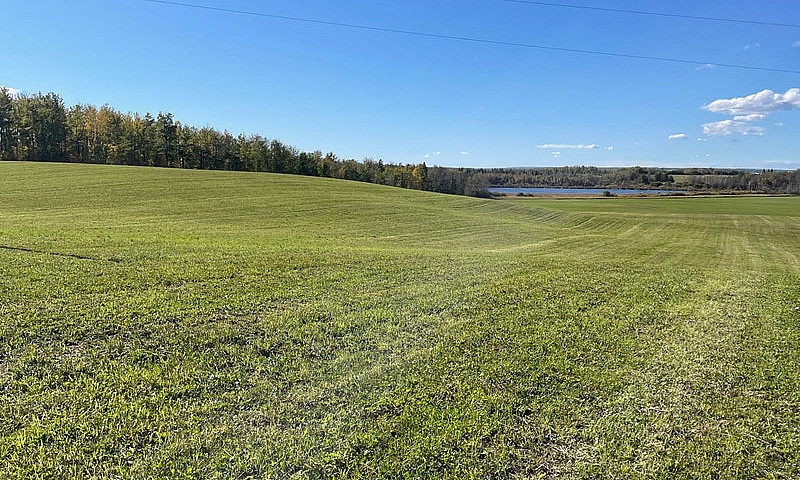 Land For Sale...