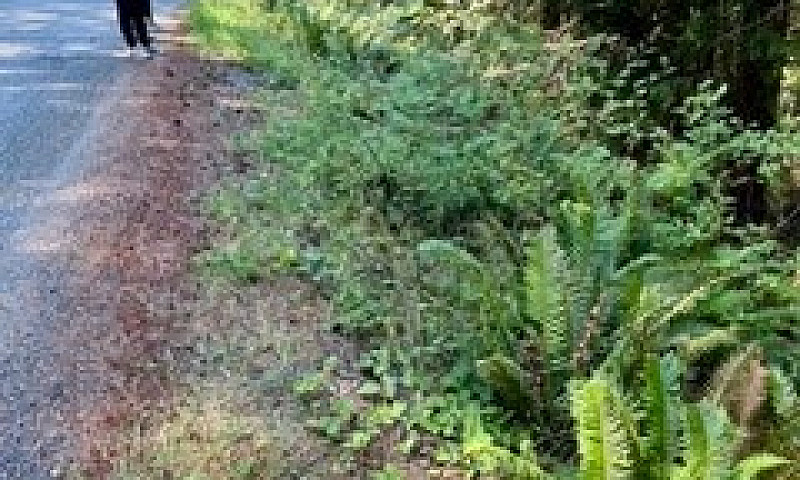 1.34 Acre Building L...
