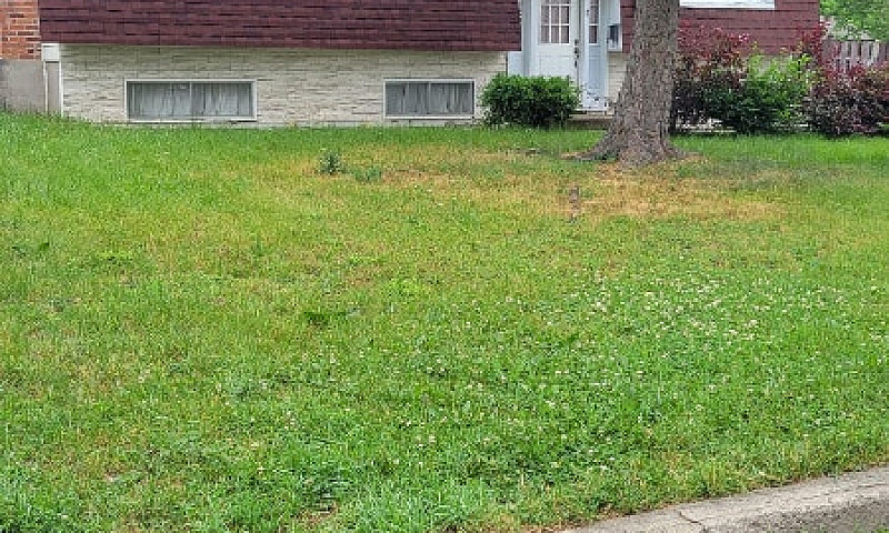 House For Rent...