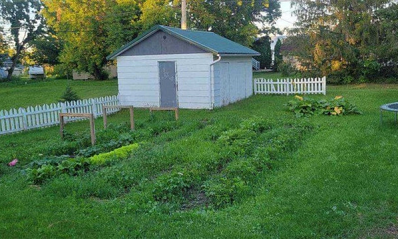 House For Rent Or Sa...