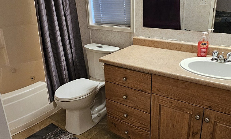 3 Beds 2 Baths - Mod...