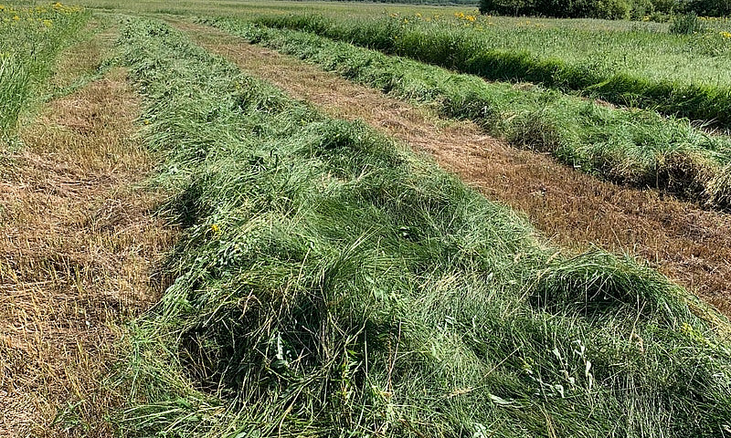 960 Acres Of Farm An...