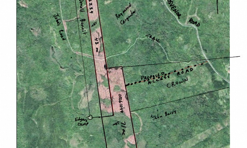 Land Wood Lot Antigo...