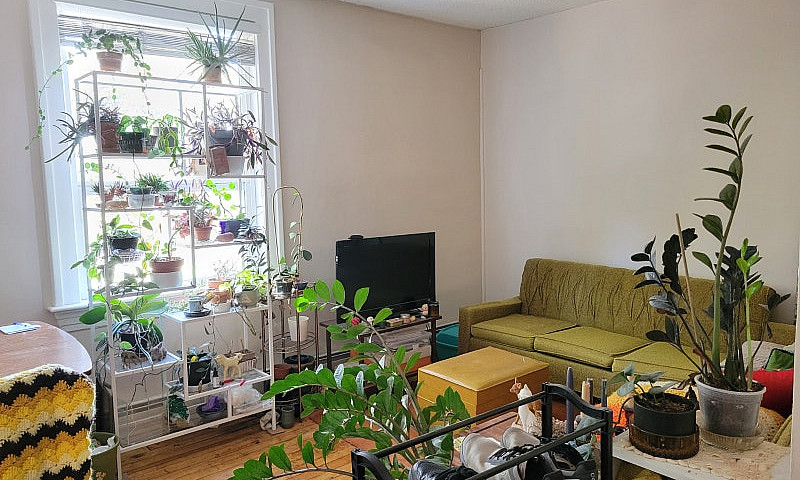 1 Bedroom Apartment ...