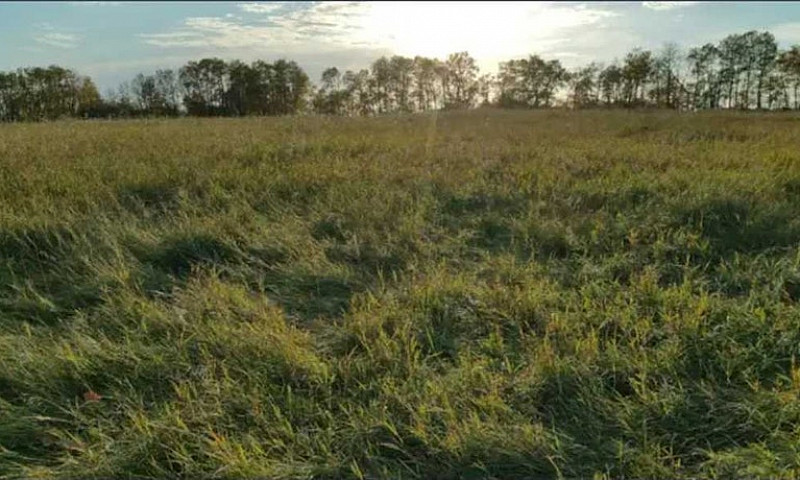 400 Acres Of Land Fo...