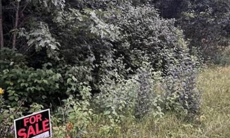 Vacant Land / Reside...