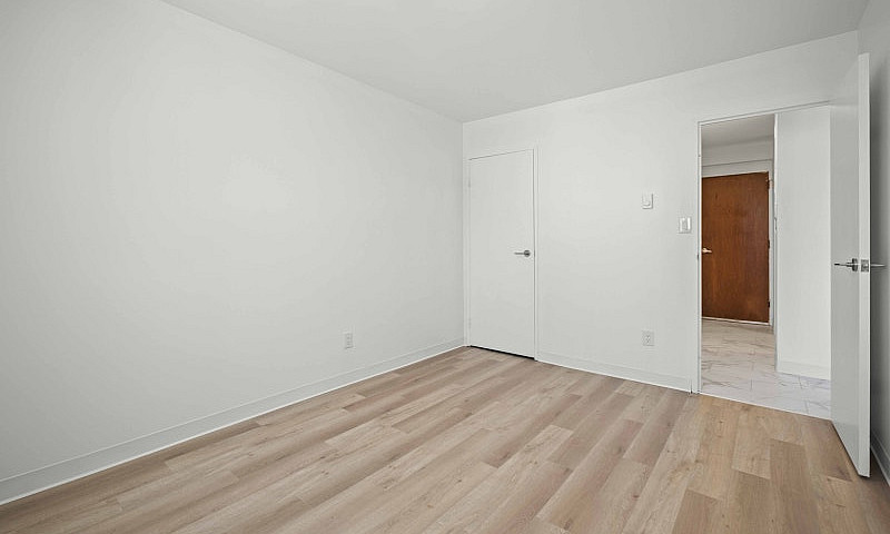 Newly Renovated 1 Be...