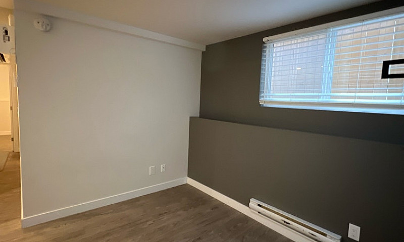 **2 Bed 1 Bath Lower...