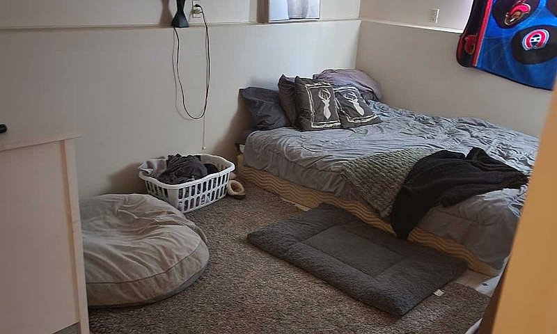 1 Bedroom Daylight S...