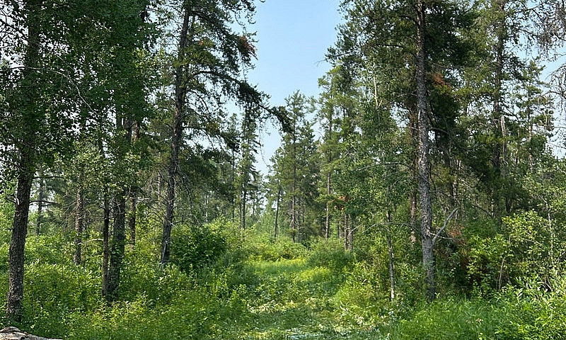 Land For Sale...