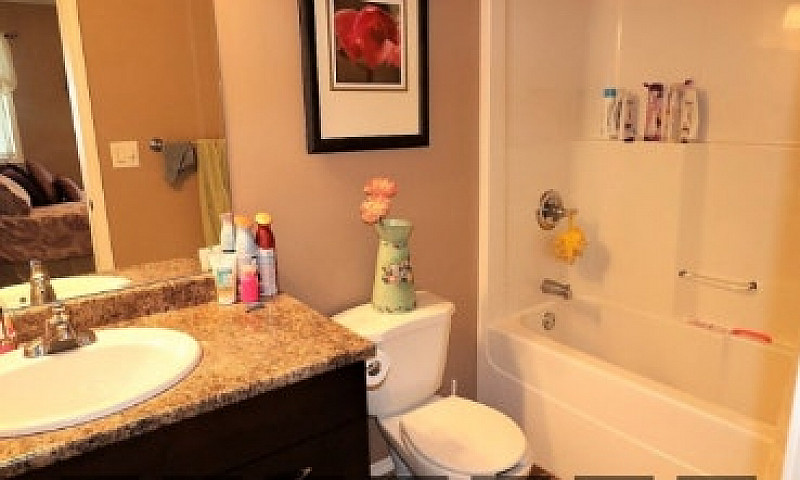 2 Bedroom 2Bathroom ...
