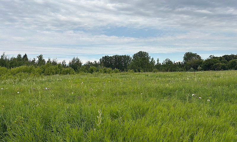 5-Acre Lot. Retire A...